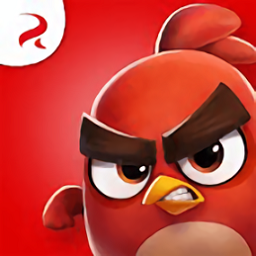 愤怒的小鸟里约大冒险最新版(Angry Birds) v2.6.13 安卓版2